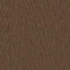 МШДК Дуб кофейный